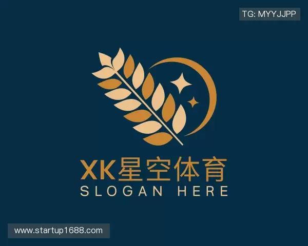 解读XK星空体育官方网址